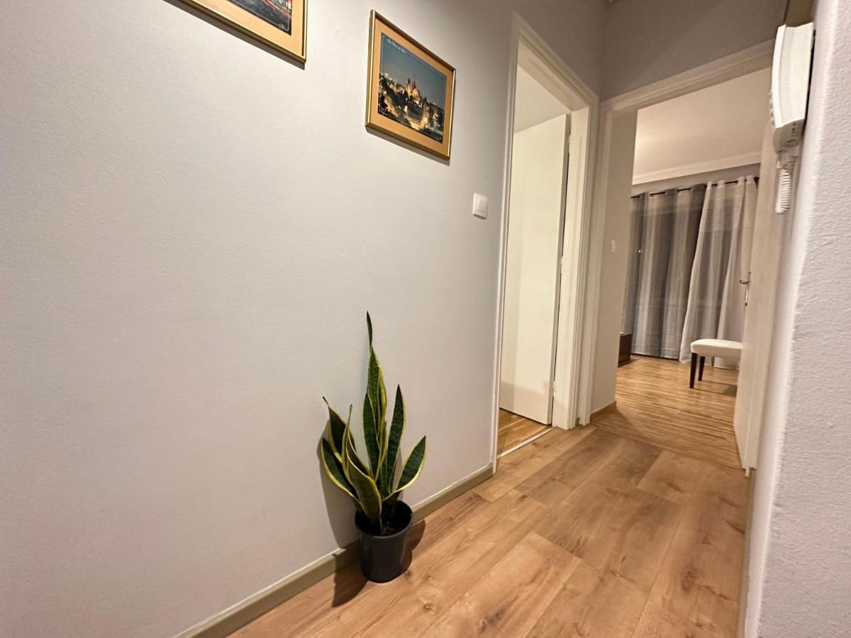 Ano Patisia Cosy Apartment II Атина Екстериор снимка
